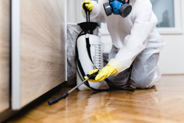 Best Local Pest Control Services  in Merrydale, LA