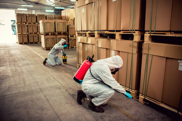 Pest Control Cost in Merrydale, LA