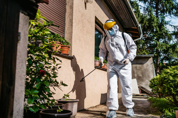 Pest Prevention Services in Merrydale, LA