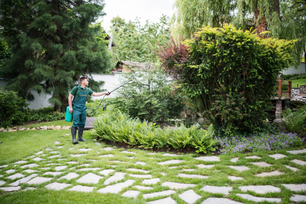 Best Commercial Pest Control Services  in Merrydale, LA