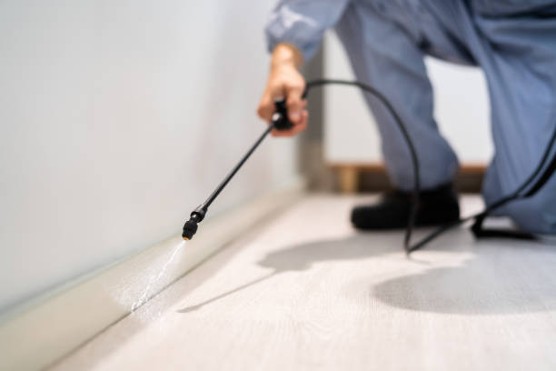 Best Flea Control Services  in Merrydale, LA