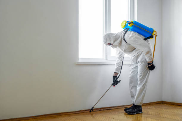 Best Mosquito Control Services  in Merrydale, LA