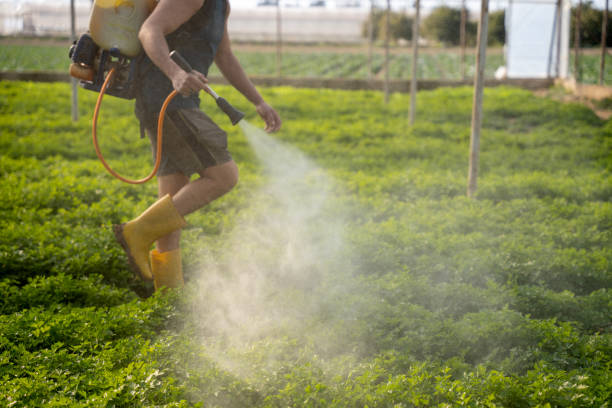 Best Best Pest Control Near Me  in Merrydale, LA