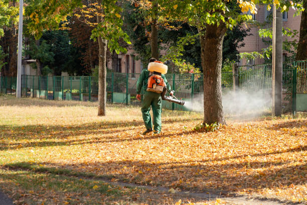 Best Affordable Pest Control Services  in Merrydale, LA