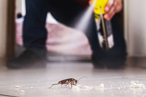  Merrydale, LA Pest Control Pros