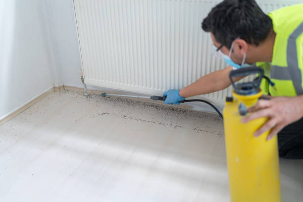 Best Pest Control Near Me in Merrydale, LA